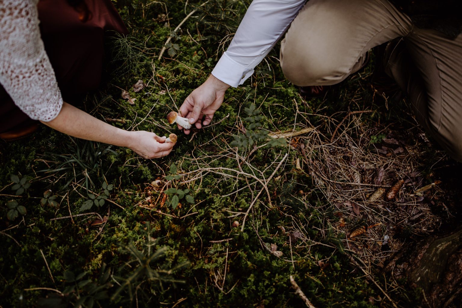 Paar findet Steinpilze als Glücksbringer für ihre Hochzeit