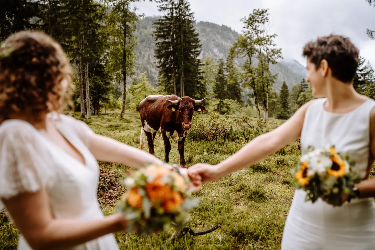 Brautpaarfotos im Wald bei Ruhpolding mit einer Kuh